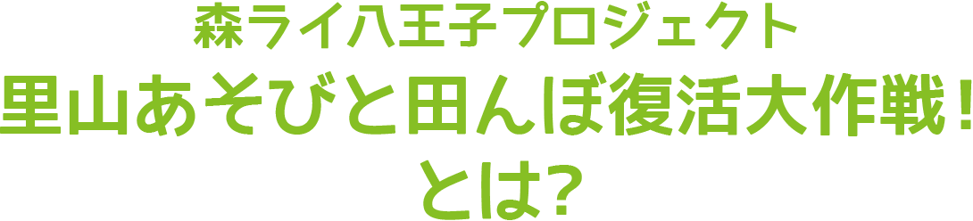 森ライ八王子プロジェクト 里山あそびと田んぼ復活大作戦！とは?