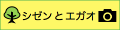 シゼンとエガオ